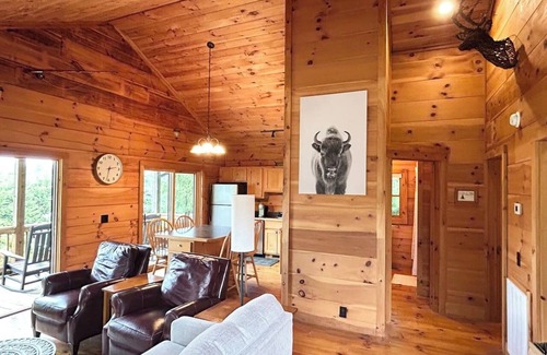 Meadows Of Dan Cabin | River Walk Cabins: Bison Cabin