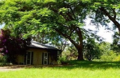 Rosebank Apartment | "Riverbend Suites" BYRON Hinterland Retreat