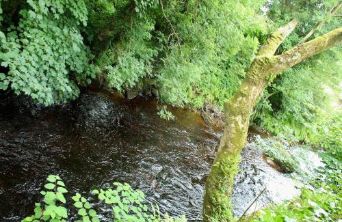 Ardara Apartment | Riverside Haven in Ardara