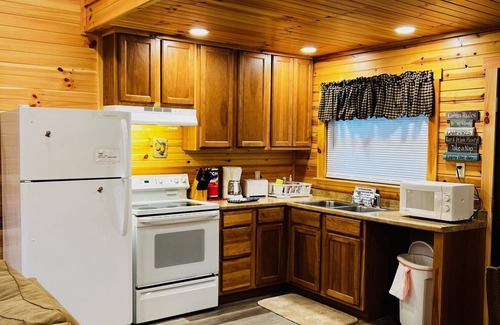 Elkins Cabin | RIVERSIDE RENOVATED 1950's schoolhouse, HOT TUB, Pellet Stove, Pet Friendly