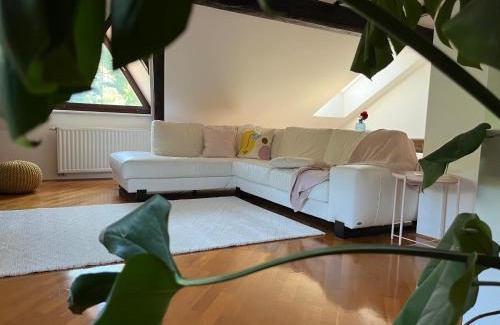 Spodnja Idrija Apartment | Riverside Villa Avo - Apartment Sara