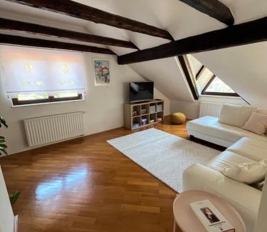 Spodnja Idrija Apartment | Riverside Villa Avo - Apartment Sara