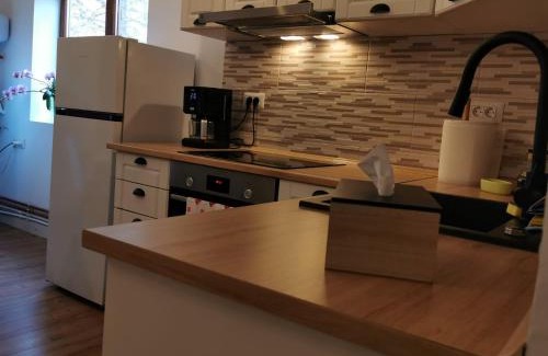 Campulung Moldovenesc House | Rivr House Bucovina
