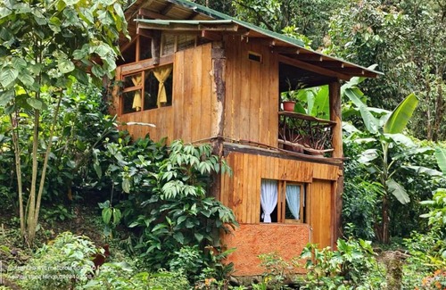 Mindo House | Roca Mia
