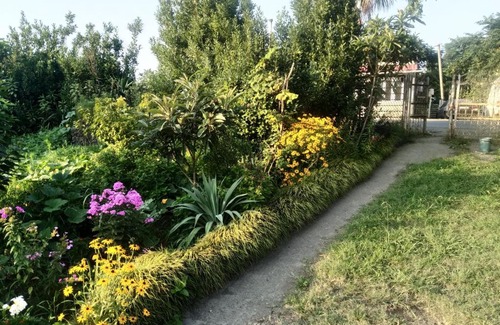 Grigoleti House | Roin Guest House