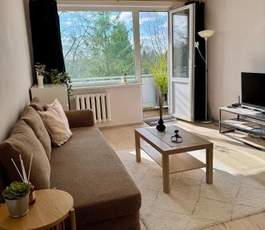 Panevezys county Apartment | Rokiskis- jaukus butas su balkonu