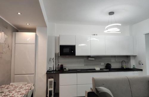 Quartiere XI Portuense Apartment | ROMAN'S HOUSE