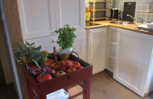 La Bastide-sur-l'Hers Cottage | Romantic 17 century village house with private spa, bakery and butcher within walking distance.