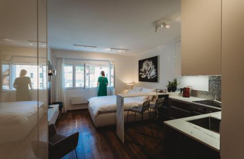 Ljubljana Old Town Apartment | Romantic JUMP Studio overlooking river, free parking