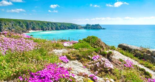 Truro House | Romantic log-burner Cornish Cottage private garden dogs welcome