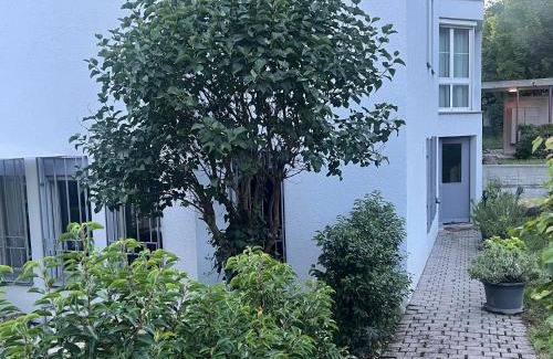 Nussbaumen Apartment | Romantic Space