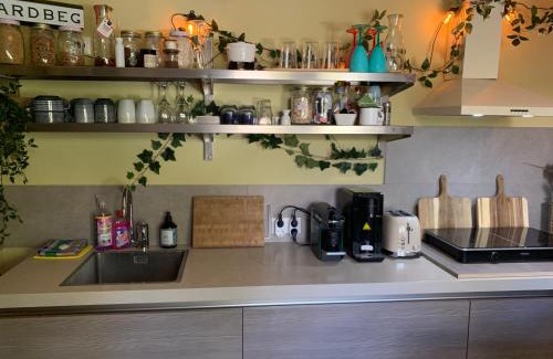 Den Ham Bed & Breakfast | Romantisch Wellness Appartement met privé Hottub Sauna Gamesroom