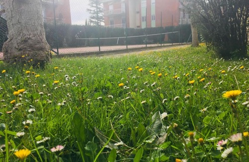 Cassia Apartment | Rome Guest Hospitality
