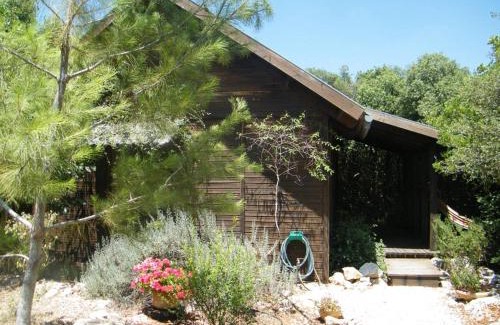 Abirim Cabin | Ronit and Mario