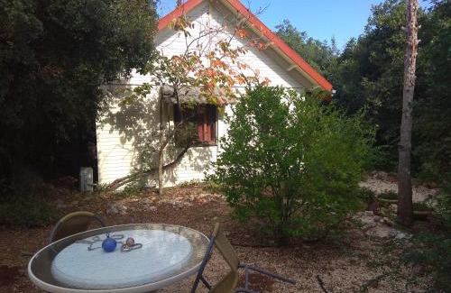 Abirim Cabin | Ronit and Mario