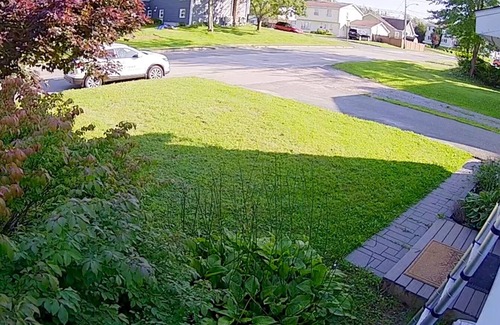 Sydney House | Room Available in Comfortable Cozy Cottage on Cottage Road.