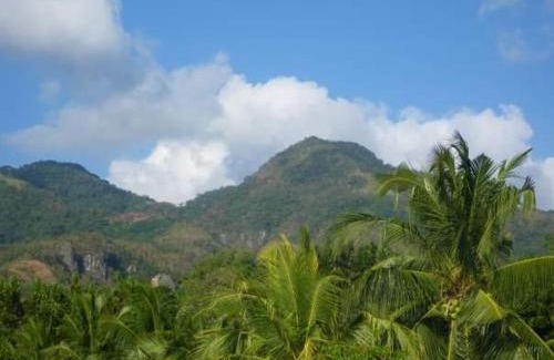 Lobo House | Room in Lobo Triple N Home stay 1st N