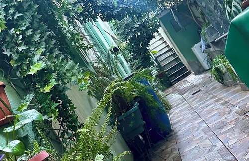 Cochabamba House | Room in the very center of the city. Filled with plants for relaxation.