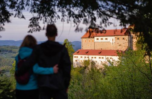 Cerklje ob Krki Apartment | Rooms & Apartments Podsreda Castle
