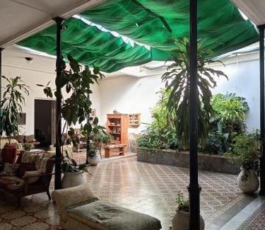 Mercedes House | Rosa 7