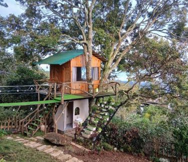 Da Lat Hotel | Rosa Homestay