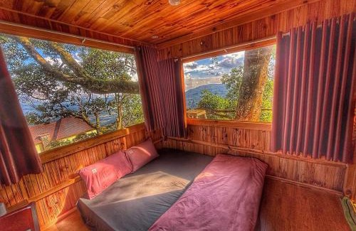 Da Lat Hotel | Rosa Homestay