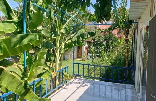Sarigerme Apartment | Rose Apart