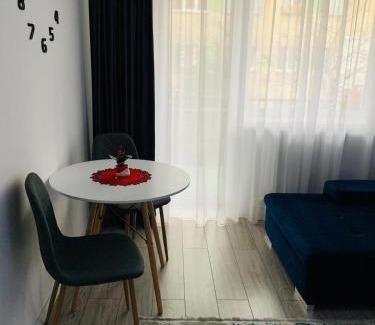 Piatra Neamt Apartment | ROSE APARTMENT