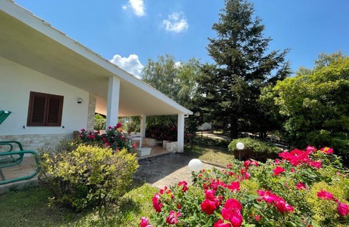 Cassano delle Murge House | Rose country