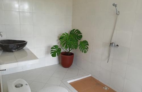 Sleman Resort | Rosella Cottages - Homestay - Yogyakarta