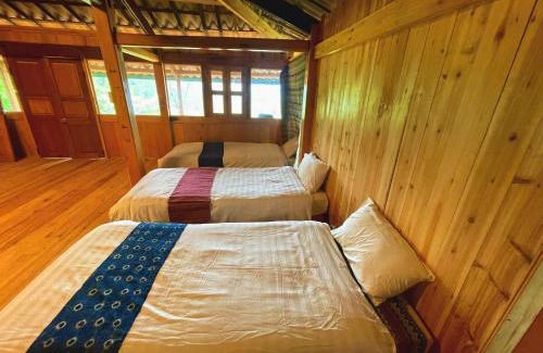 Sa Pa Hostel | Rosevine - Homestay Trekking Tour