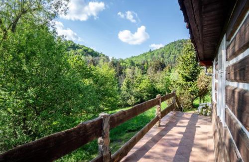 Rokytnice nad Jizerou Apartment | Roubenka Muštelka