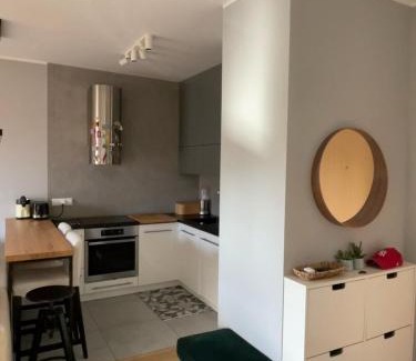 Sielce Apartment | Royal Park Łazienki - Terrace Boutique Apartment