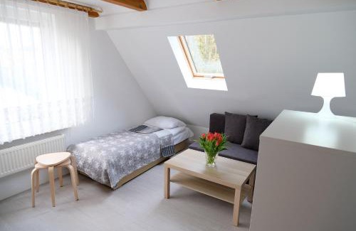 Chlopy House | Roza Wiatrow