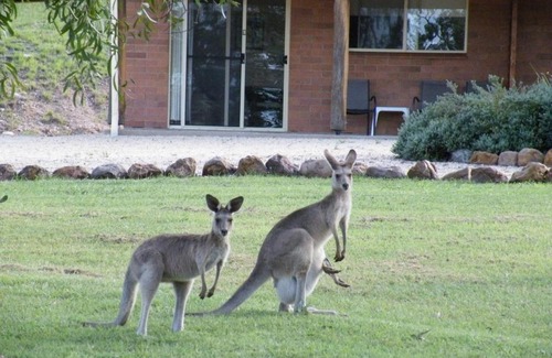 Rubyvale Hotel | Rubyvale Motel & Holiday Units - An Adults Only Getaway