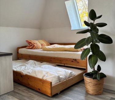 Bad Meinberg Apartment | Ruhige Ferienwohnung mit Waldblick