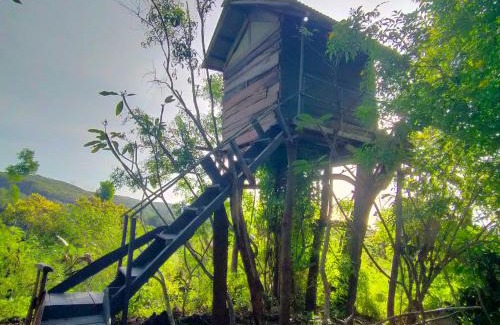 Penida Island Resort | Rumah Pohon