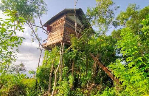 Penida Island Resort | Rumah Pohon