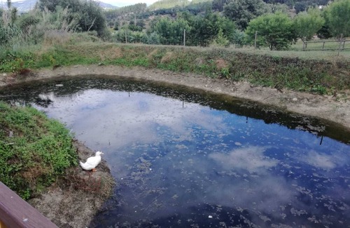 Covilha Cottage | Rural Farm - Our Lady of Carmo Teixoso