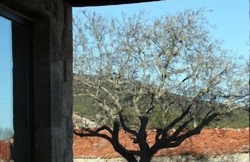 Briongos Cottage | RURAL HOUSE 5 CELEMINES NORTE