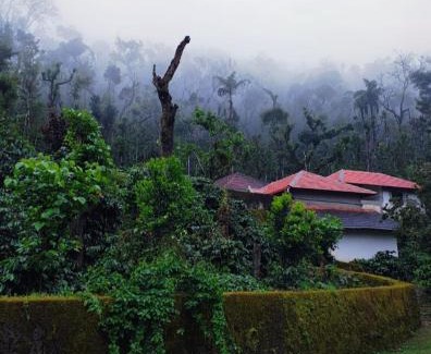 Chikkamagaluru House | Rushika Homestay Chikmagalur