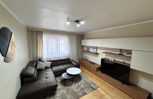 Gura Humorului Apartment | Rusky Apartment