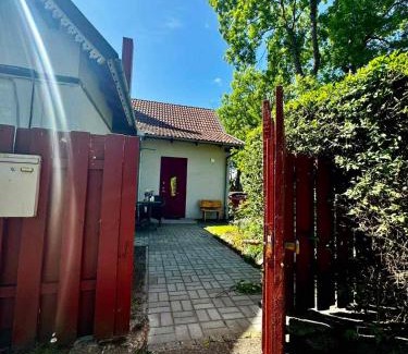 Rusne Apartment | Rusnės žvejas