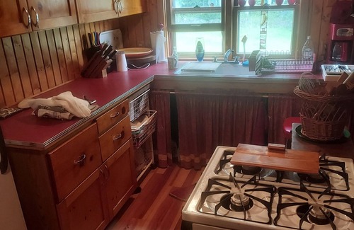 Grand Marais Cabin | Rustic 2-bedroom secluded cabin on Devil Track Lake - minutes from Grand Marais