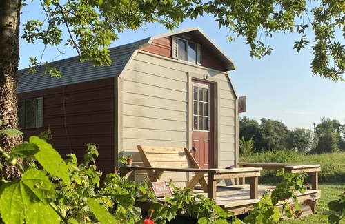 Navasota RV Rental | Rustic cabin hideaway above Hidalgo Falls on the Brazos River