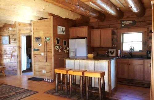 Otto Cabin | Rustic Log Cabin Nestled Privately in the Woods