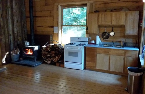 Nevada City Cabin | Rustic mountain retreat - escape to a hand-built cabin in the woods