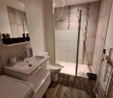 Terrasson-la-Villedieu Apartment | Sélénite