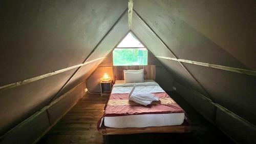 Saadani Other | Saadani Beach Camp