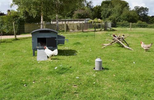 New Forest District House | Saddle Room